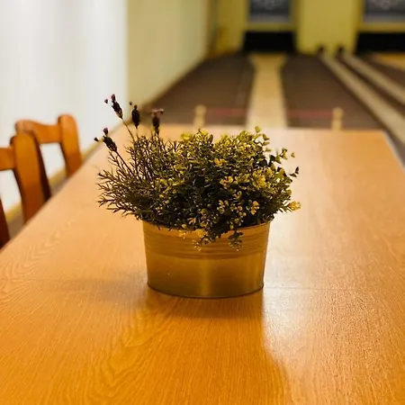 Maifeld Sport- Und Tagungshotel 4* Βερλ