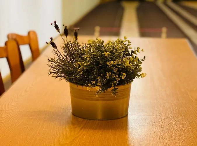 Maifeld Sport- Und Tagungshotel 4* ורל